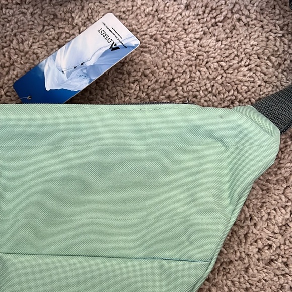 💚 NWT Everest Belt Bag - Picture 3 of 7